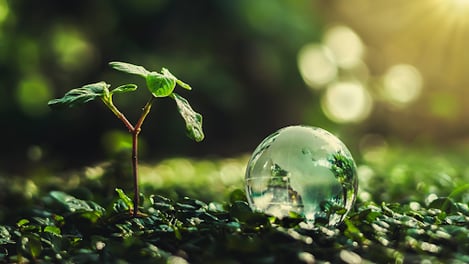 The Next Wealth Frontier: Engaging a New Generation of Investors