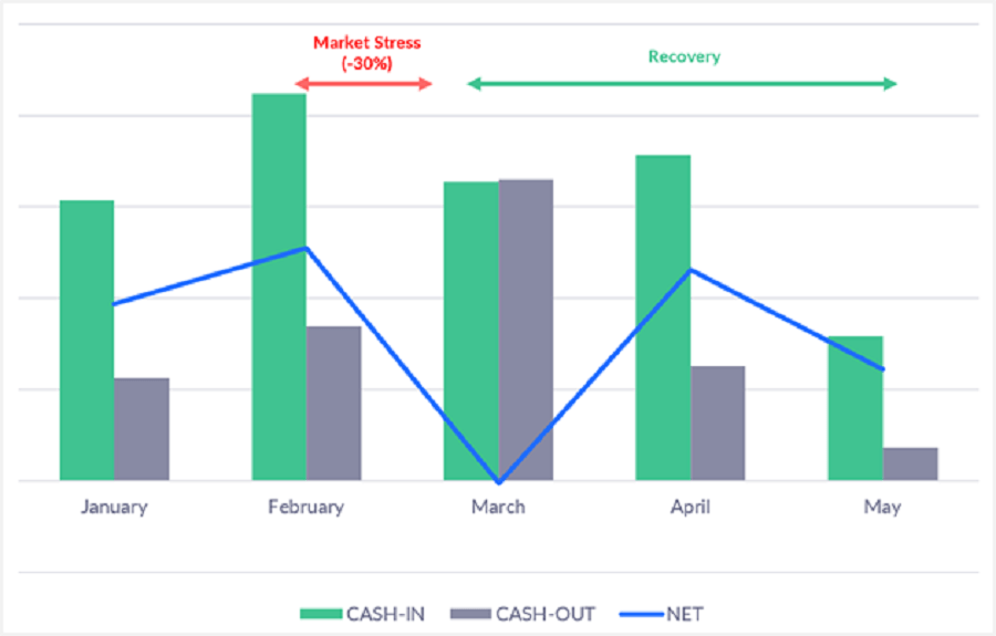 Cashflows per month for Birdee